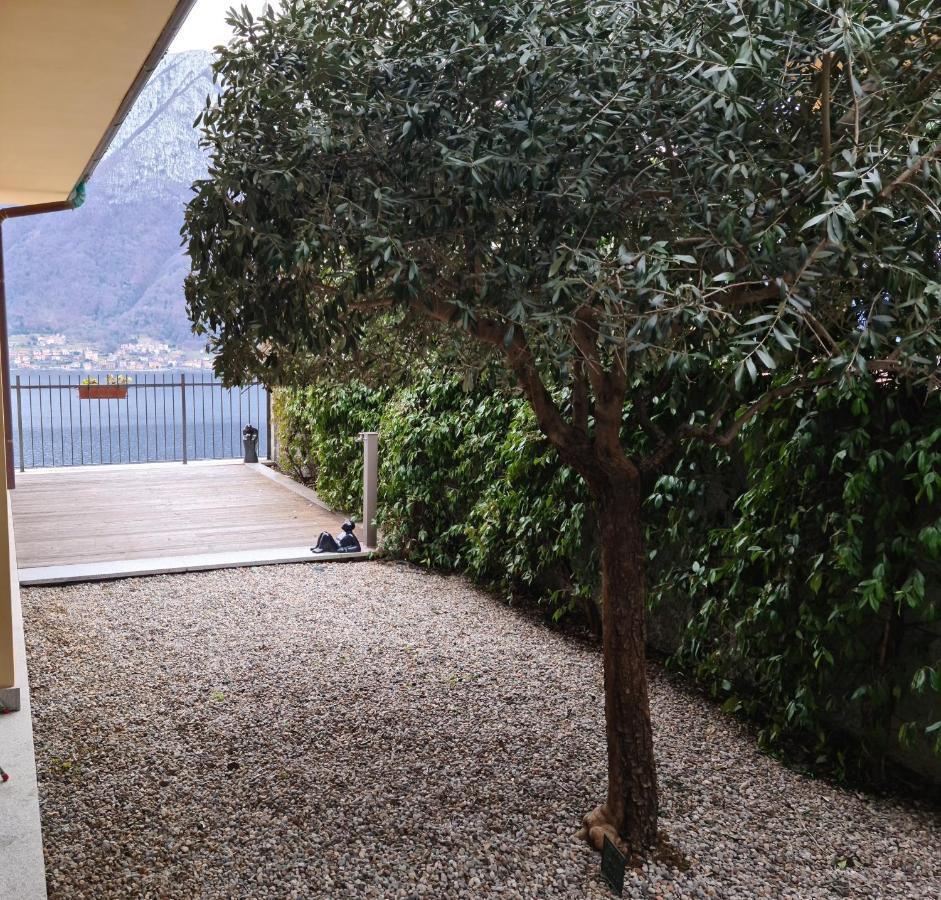 Colonno Panoramica Lago Di Como Eksteriør bilde