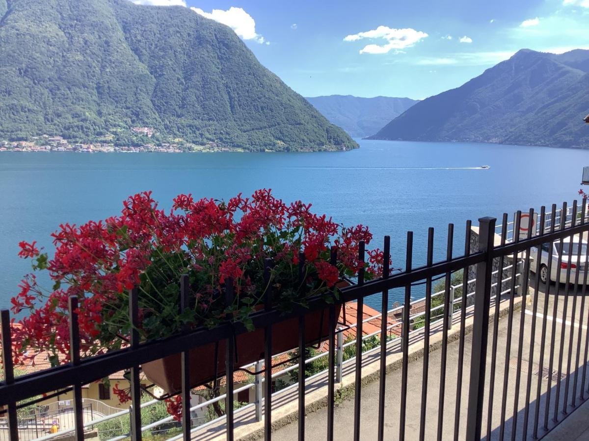 Colonno Panoramica Lago Di Como Eksteriør bilde